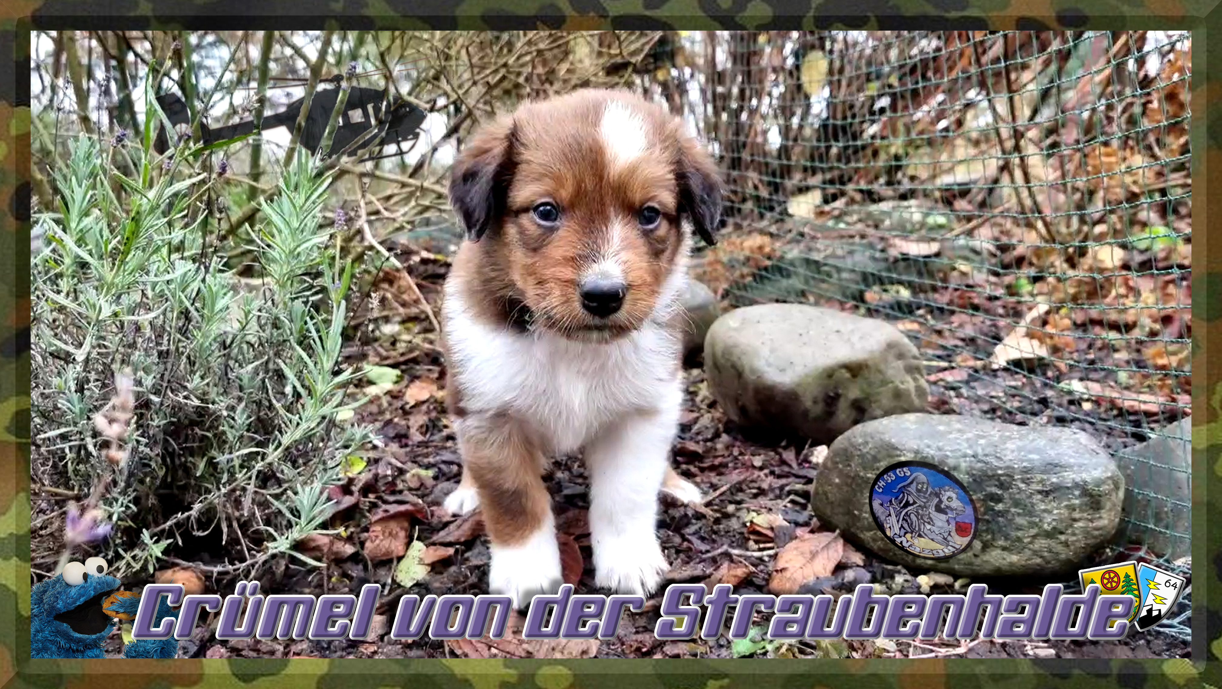 Wäller von der Straubenhalde